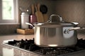 Cooking in kitchen steel pot on gas burner