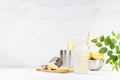 Cooking lemon juice in soft light fresh elegant white kitchen or garden with green leaves in sunny day - lemonade in misted glass.
