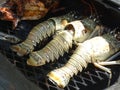 Cooking the lobster in Belize style