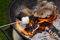 Cooking marshmallow on wooden stick over fire. Royalty Free Stock Photo