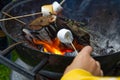 Cooking marshmallow on wooden stick over fire. Royalty Free Stock Photo