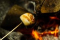 Cooking marshmallow on wooden stick over fire. Royalty Free Stock Photo