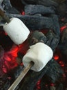 Cooking marshmallows on a skewer in a fire toksovo