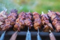 Cooking meat on barbecue, close-up, outdoors