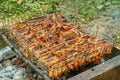 Cooking meat on the fire. Shashlik on the grill Royalty Free Stock Photo