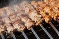 Cooking meat skewers on skewers on the grill Royalty Free Stock Photo