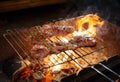 Cooking meat steaks on the fire on the grill at night close-up Royalty Free Stock Photo