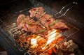 Cooking meat steaks on the fire on the grill at night. Defocus Royalty Free Stock Photo