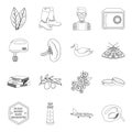 Cooking, medicine, education and other web icon in outline style.glow, travel, finance icons in set collection.
