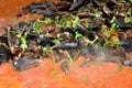 Cooking mussels Royalty Free Stock Photo