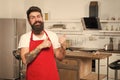 Cooking is my life. Bearded man in red apron. Restaurant or cafe cook. Hipster in kitchen. Mature male. Bearded man cook Royalty Free Stock Photo