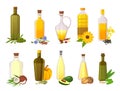 Cooking oil bottles. Natural vegetable, olive, sunflower, avocado and coconut virgin organic oils in glass with