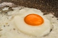 Fryed egg on frying pan Royalty Free Stock Photo