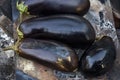 Cooking outdoor fire roasted eggplant