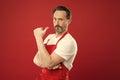 Cooking is passion. Cook with beard and mustache wear apron red background. Man mature cook posing cooking apron. Fine Royalty Free Stock Photo