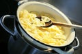 Cooking pasta Royalty Free Stock Photo