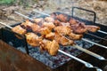 Cooking pork meat on the fire. Skewers with shashlik barbeque BBQ grill outdoor picnic Royalty Free Stock Photo