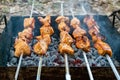 Cooking pork meat on the fire. Skewers with shashlik barbeque BBQ grill outdoor picnic Royalty Free Stock Photo