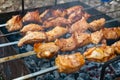 Cooking pork meat on the fire. Skewers with shashlik barbeque BBQ grill outdoor picnic Royalty Free Stock Photo