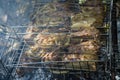Cooking pork ribs on the fire. Shish kebab on the grill, barbecue with a flame in nature. Side view Royalty Free Stock Photo