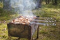 Cooking pork shashlik on skewer Royalty Free Stock Photo