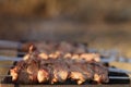 Cooking pork shashlik on skewer in mangal outdoor Royalty Free Stock Photo