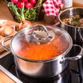 Cooking pots on the stove Royalty Free Stock Photo