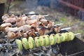 Cooking process Barbecue Summer grill Close up of roasted pork S Royalty Free Stock Photo