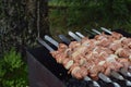 Cooking process Barbecue Summer grill Close up of roasted pork S Royalty Free Stock Photo