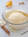 Cooking process. Misted bowl with leavened dough. Preparing dough for cakes, pastries, buns or pizza. Close up image. Royalty Free Stock Photo