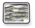 Cooking process of pickled herring Royalty Free Stock Photo