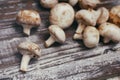 Set of champignon mushrooms on wooden background table. Royalty Free Stock Photo