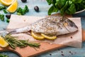 Cooking Raw Dorado Fish with Spinach, rosemary, olives, Herbs, Spices and Lemon closeup on Wooden Cutting Board on an aquamarine b Royalty Free Stock Photo