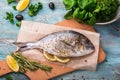 Cooking Raw Dorado Fish with Spinach, rosemary, olives, Herbs, Spices and Lemon closeup on Wooden Cutting Board on an aquamarine b Royalty Free Stock Photo