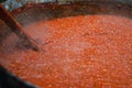 Cooking red bell peppers, tomatoes, eggplants over a fire to make national delicious Bulgarian lyutenitsa tomato sauce.