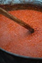 Cooking red bell peppers, tomatoes, eggplants over a fire to make national delicious Bulgarian lyutenitsa tomato sauce.