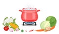 Cooking in red pan. Steaming food in  pot on gas stove isolated on white background. Vegetables whole and chopped. Royalty Free Stock Photo