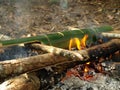 Cooking rice with the bamboo in the camp