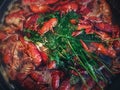 Cooking river crayfish, or crawfish, at home on a traditional recipe. A lot of red, freshwater lobsters boiling in a big bowl on Royalty Free Stock Photo