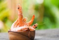 Cooking seafood shrimps prawns served on a wooden bowl with nature background - fresh shrimp Royalty Free Stock Photo