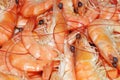 Cooking shrimps Royalty Free Stock Photo