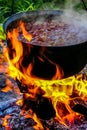 Cooking soup in a pot on campfire Royalty Free Stock Photo