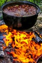 Cooking soup in a pot on campfire Royalty Free Stock Photo