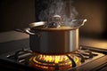 cooking soup in pot in kitchen steel pot on gas burner