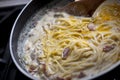 Cooking spaghetti carbonara in pan. Royalty Free Stock Photo