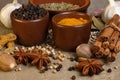 Cooking Spices - Flavor - Seasoning Royalty Free Stock Photo