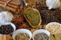 Cooking Spices - Flavor - Seasoning Royalty Free Stock Photo
