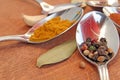 Cooking spices. Food seasoning. Spices in a teaspoons. Royalty Free Stock Photo