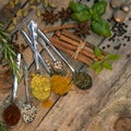 Cooking spices and herbs - space for text Royalty Free Stock Photo