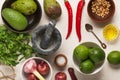 Cooking, step by step, mexican, authentic, spicy, chunky, healthy